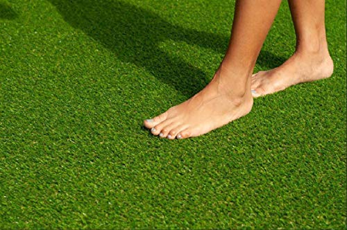 Ans Artificial Green Grass 55 MM High Density Grass Mat for Lawn Balcony Backlane Garden (4 x 6.5 ft) (B0BS9Z61CH) Amazon Price History, Amazon Price Tracker