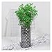 LAErper künstliche Blumen Natürliche getrocknete Gypsophila Hochzeitskern for Tische Accessoires for Wohnkultur ewige rosa trockene Blumen Deco Party (Color : M04, Size : 30g)