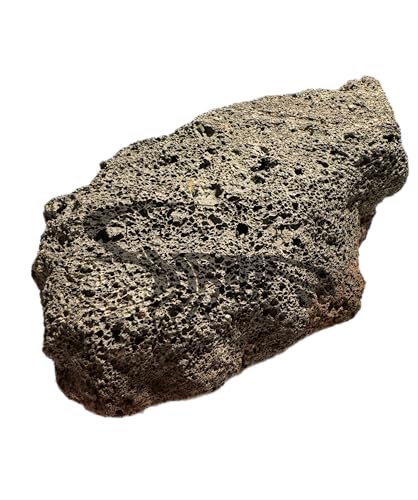 Lavastein naturrein/Dekoration, Hardscape für Einrichtung von Aquarium Terrarium und Garten/unbehandeltes Lavagestein (1, M, 12-16cm)