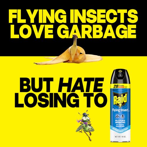 Image of Raid Flying Insect Spray, Outdoor Fresh Scent, Kills Flies, Mosquitoes, and Other Flying Insects on Contact, For Indoor and Outdoor Use, 18oz