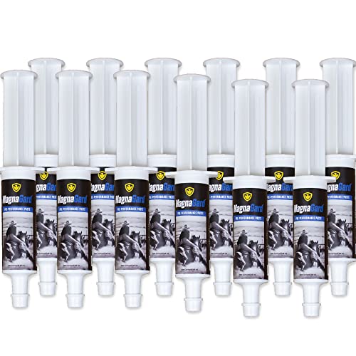 MagnaGard Pre-Performance Calming Paste for Horses - All Natural Gastric