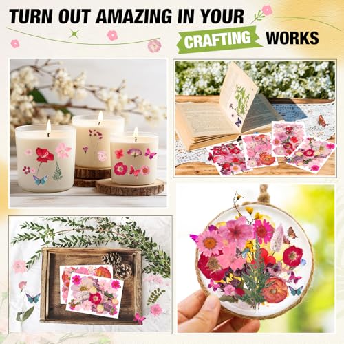 160 piezas flores prensadas secas rosas con stickers miniatura 7