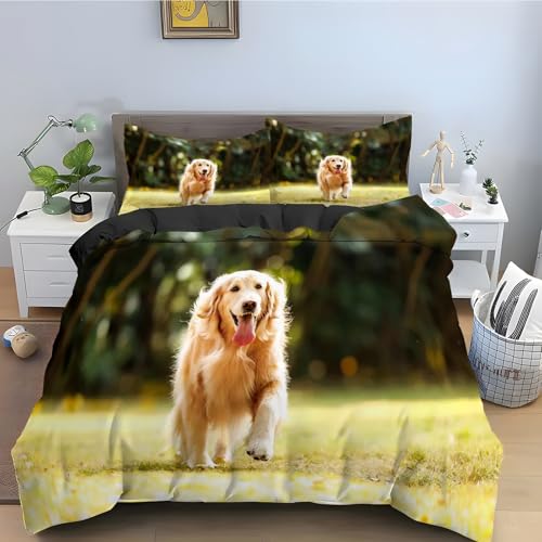Housse de Couette 200x200 RéCupéRateur d'or Parure Lit Microfibre