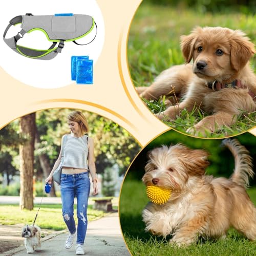 Chaleco refrigerado para perros contra el calor extremo ajustable transpirable 5