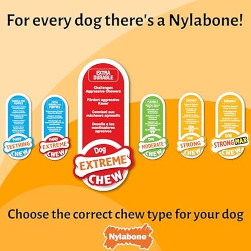 Nylabone, Extrem starker Kaueffekt, Neuartiges Kauspielzeug aus Brokkoli, Langlebiges Kauspielzeug mit Speck- und Käsegeschmack, Groß, Für Hunde bis 23 kg