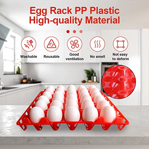 Boîtes à œufs empilables x8 en plastique | Rangement 240 pièces éleveur