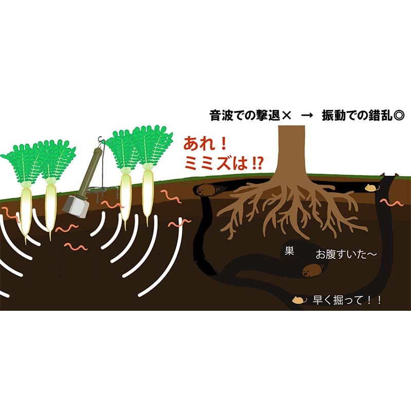 Amazon | モグラ追い出し DG010 乾電池付 300坪対応 大樹