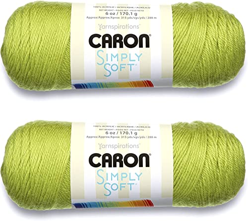 Image of Bulk Buy: Caron Simply Soft Yarn Solids (2-Pack) (Chartreuse)
