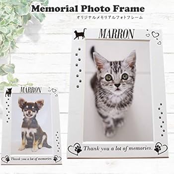 猫ちゃんのフォトスタンド 猫ちゃんのフォトスタンド img56045745.jpg