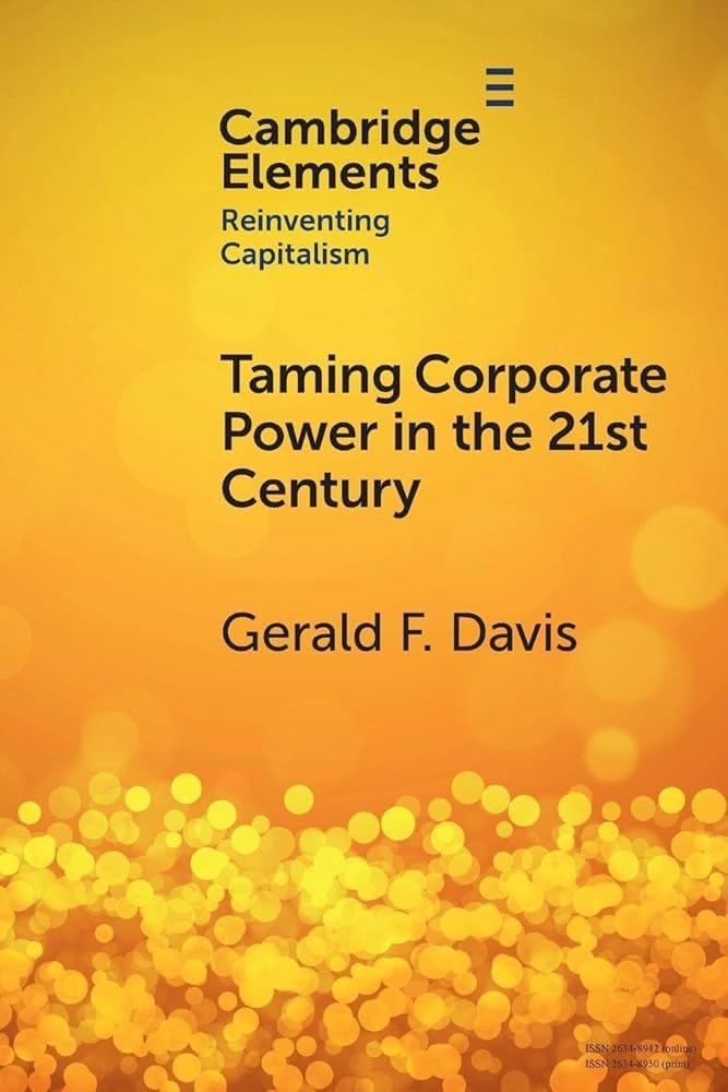 Buy Taming Corporate Power in the 21st Century — BookShops.in