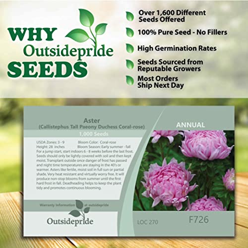 Outsidepride Coral Paeony Aster Garden Cut Flower Plant Seeds - 1000 Seeds #TOP1