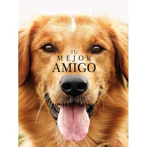 Tu mejor amigo
