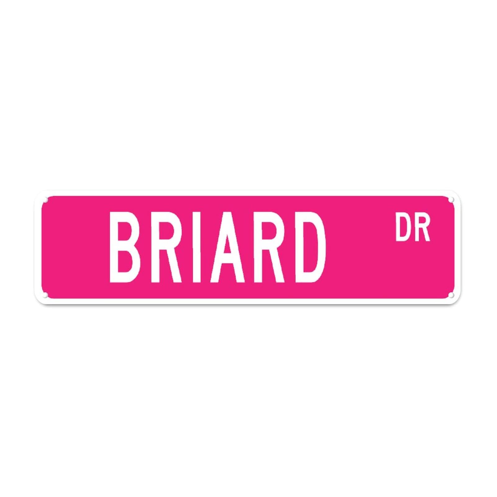 Briard DR Retro Tin Signs Aluminum Metal Sign Plaque for Home Kitchen Garden Wall UV-Resistant Pub Club Decor 4x16 Inch