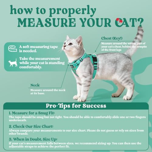 Image of rabbitgoo Cat Harness and Leash Set, Escape Proof Vest, Cherry Grove