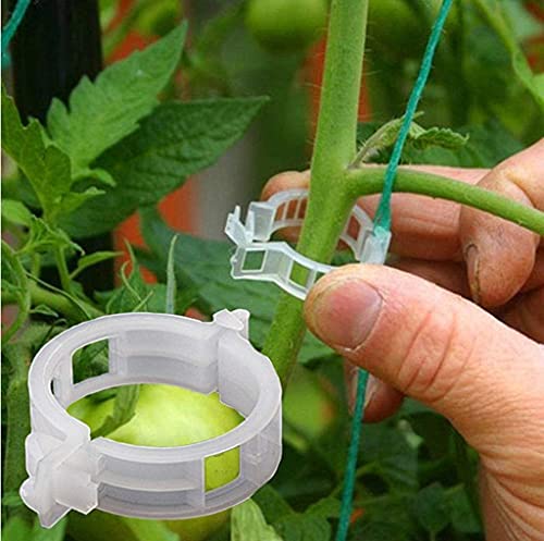 Pinces à Tomates, Pinces Pour Plantes D'intérieur, Pinces à Tomates Pour Treillis, Plantes De Jardin, Pinces à Vigne (300, Blanc