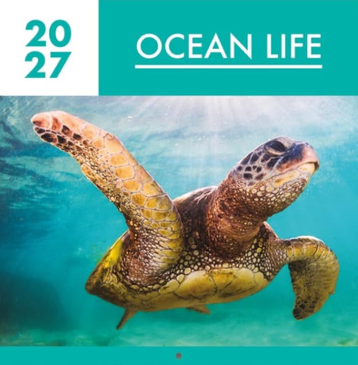 2027 Ocean Life Square Wall Calendar Planner Organiser Sea Underwater Fish