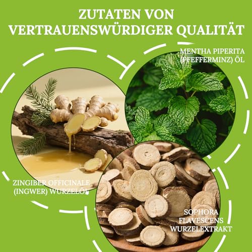 Alphainfuse Hair Nachwachsen System, Hair Regrowth System, Mikrone Haarwachstumserum für Haare Verlustverdünnung, Verstärkt dicke Haare für Männer Frauen, Behandlung für dicker, stärkt die Wurzeln
