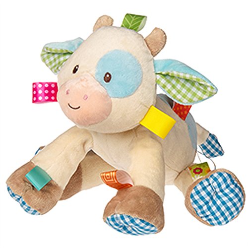 taggie teddy