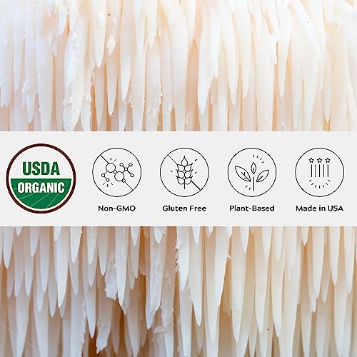 One Farm by WAAYB Organic Lion's Mane Powder, Cognitive Function & Immune Support - Brain Supplement for Memory and Focus - Vegan Mushroom Supplement in a Resealable Glass Jar