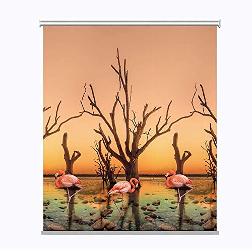 ZTMN Persianas enrollables Persianas enrollables Opacas con Accesorios, persianas térmicas y oscurecedoras para Uso en Interiores de Ventanas, 60 cm / 80 cm / 100 cm / 120 cm / 140 cm de Ancho (T
