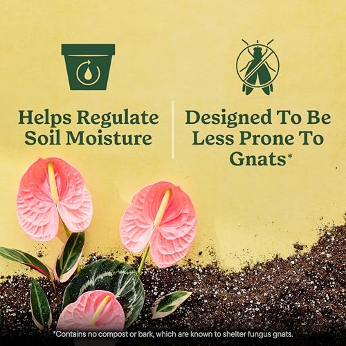 Miracle-Gro Indoor Plant Grow, Feed & Protect Houseplant Care Bundle - image 7