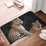 Utilisation polyvalente : leur design simple mais élégant complète n'importe quel décor, ce qui en fait une option de cadeau idéale. Fonctionne comme tapis de porte d'entrée, tapis de porte d'extérieur, tapis de bain, tapis de porte d'accueil, tapis de garage et tapis d'intérieur pour entrée, tapis de chaussures, paillasson pour chien, tapis de sol, etc.