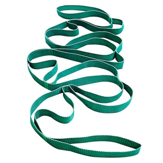 Stretching Strap Yoga Strap for Physical Therapy, 10 Loops Yoga Straps for Stretching, Non-Elastic Stretching Bands for Exercise, Pilates, Home Workout and Gymnastics