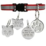 GoTags Reflective Cat Collar with Personalized ID Tag in Stainless Steel, Breakaway Cat Collar with Bell and Custom Engraved Cat Tag with up to 4 Lines of Custom Text, (Red)