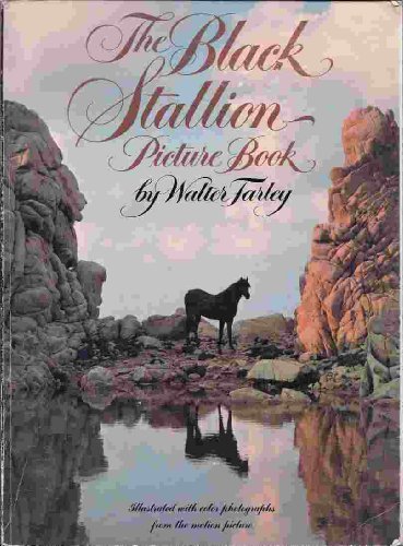 Black Stallion Picture Book 0590318020 Book Cover