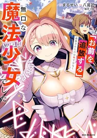 「お前を追放する」追放されたのは俺ではなく無口な魔法少女でした