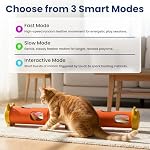 PAWSPIK Electric Feather Teaser Tube Cat Toy, Interactive Automatic Cat Toy for Indoor Cats, Smart Random Feather Play, Long Battery Life, Pet-Safe Materials (Large) - Image 3
