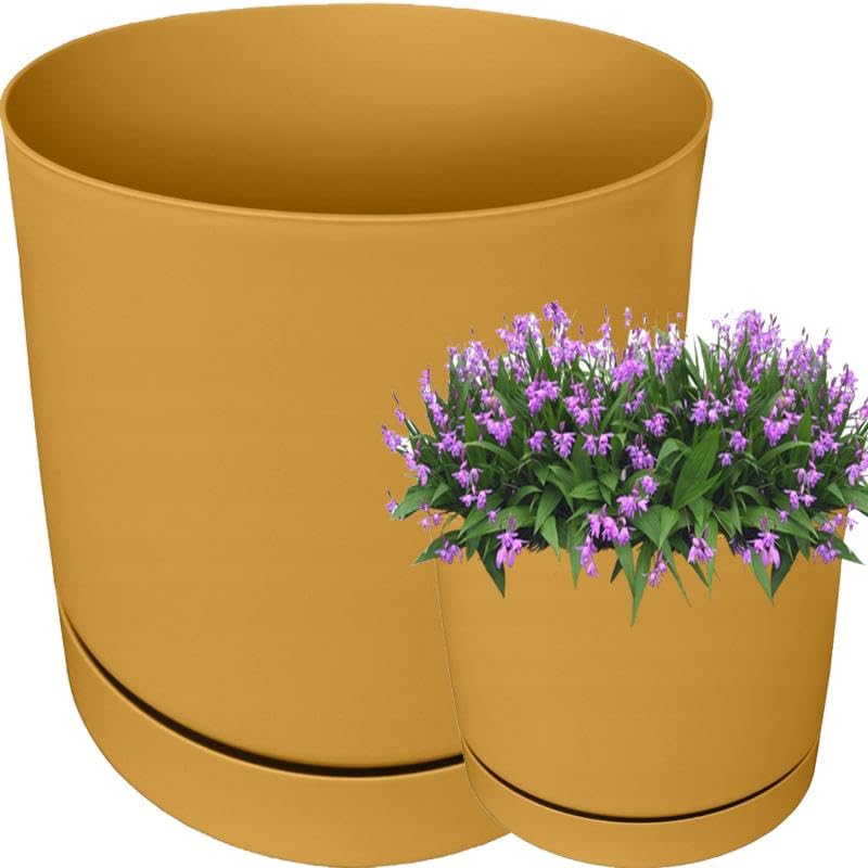 YOURSGARTEN® Macetas decorativas para flores y hierbas, con inserción, maceta, maceta, jardinera, maceta (24 cm de diámetro, dorada)