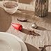 Alessi Piccantino Chili Cruncher, Red