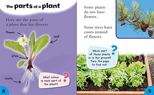 All About Plants