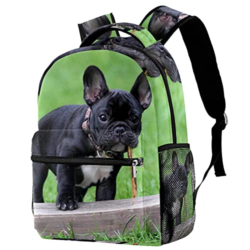 Sac à dos bouledogue français noir pour enfants, cartable de loisirs et campus avec porte-bouteille