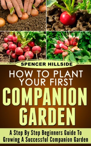 How To Plant Your First Companion Garden