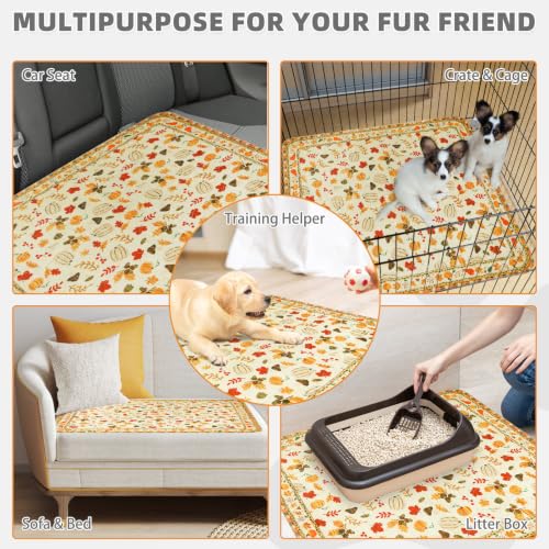 Image of KOOLTAIL Washable Pee Pads for Dogs,2 Pack Thanksgiving Pet Mats,Super Absorbent Reusable Puppy Training Pads Waterproof,Nonslip Leak-Proof Dog Pee Pad,Large Whelping Pad for Floor,Crate,Couch,36 inch*41 inch