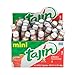 Tajín Clásico Chile Lime Seasoning Mini Display 0.35 oz, 40 Mini Bottles (Pack of 1)