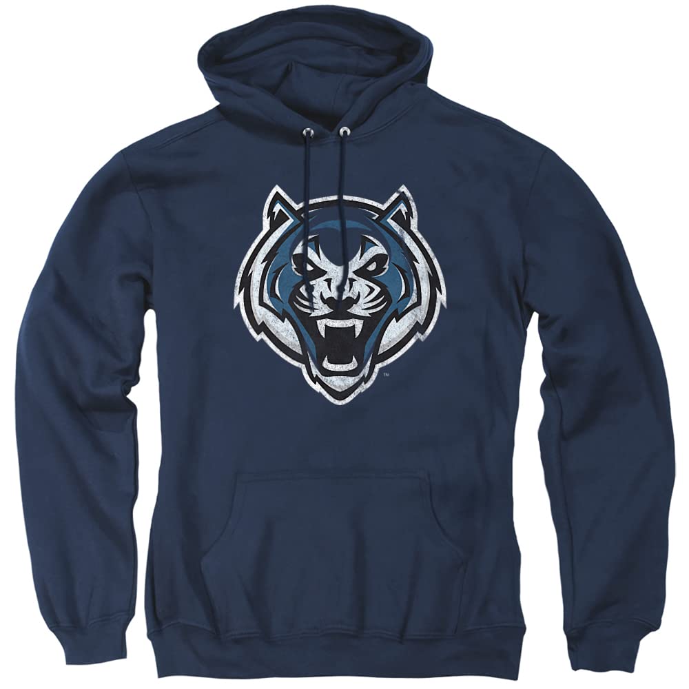 LOGOVISION Official Collegiate Distressed Primary Logo Adult Pullover Hoodie Collection — view 190