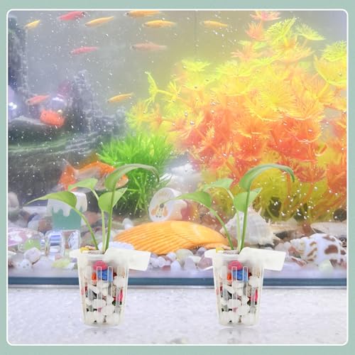 Image of WishLotus 2Pcs Aquarium Plant Holder, Hollow Design Hanging Aquarium Planter Cups with Hook, Aquarium Plant Baskets for Fish Tank Aquarium Hydroponics & Aquatic Plant (Transparent)