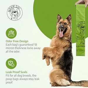 Dog Poop Bags Rolls Biodegradable Poop Bags 240 Poop Bags for Dogs Dog Walking Accessories Cat Poop Bags Leak Proof Easy to Open Thick and Durable  Cucciolini Doodles Dog poop bags rolls biodegradable poop bags 240 poop bags for dogs dog walking accessories cat poop bags leak proof easy to open thick and durable   cucciolini doodles
