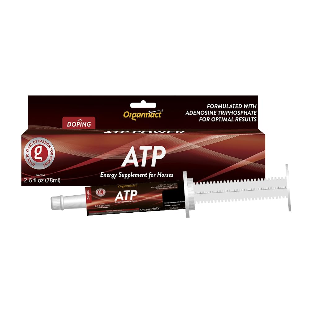 ATP Energy Supplement for Horses - 2.64 fl oz (78ml) - Boosts Explosiveness & Speed - Non-Doping, Green Apple Flavor