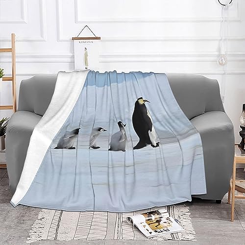 Couverture douce pingouins idee cadeau cocooning toutes saisons