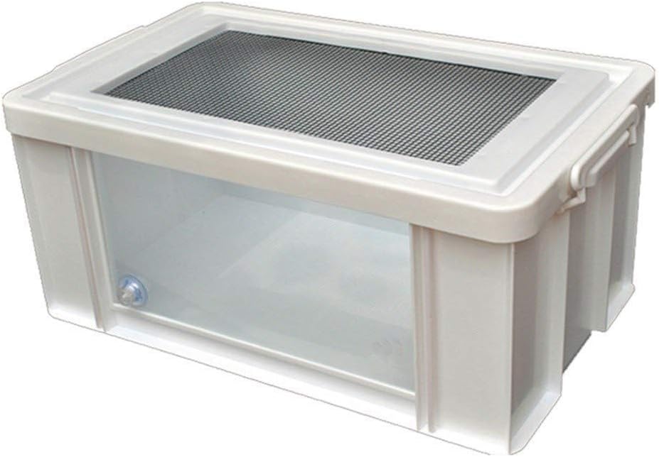 plastic snake vivarium