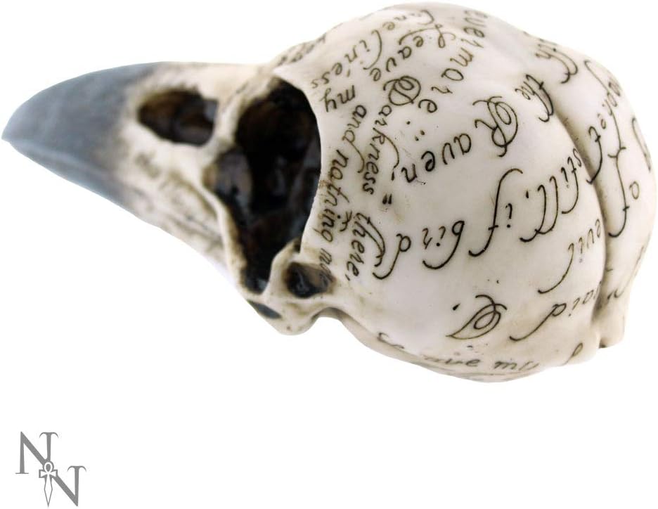 Nemesis Now Edgar's Raven Skull Figurine 25cm Ivory