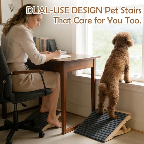Rampe pour chien pour soulager les articulations avec tapis