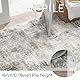 BEIMO Waschbarer Teppich Wohnzimmer, Abstrakt Design Teppich Schlafzimmer Kurzflor, Groß Teppiche rutschfest Weiche für Badezimmer Esszimmer Flur, 80x200cm