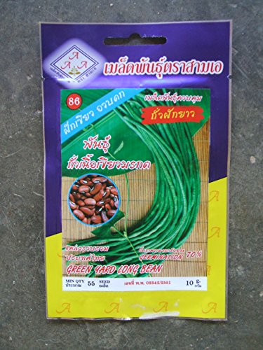 1 PKT Yard Long Bean TUA FUGK YAEW Vegetable 55 Seeds