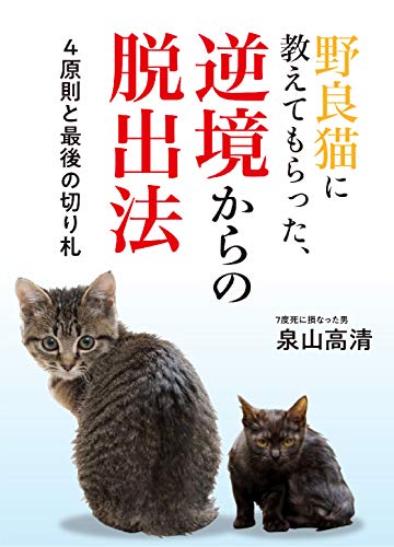オライリー 無料電子書籍 野良猫に教えてもらった、逆境からの脱出法 バイ