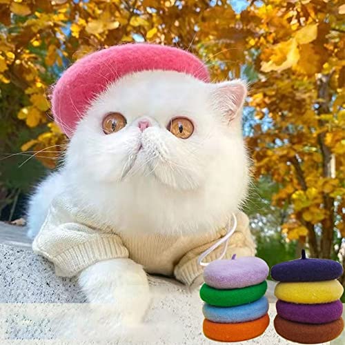 Pet Beret 1Pc Pet Wool Cap Solid Color Pet Hat Painter Wool Cap Dog Cat Beret Mini Decor Photo Props Pet Headwear Decor Accessories(Red) #TOP1